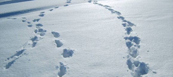 4 Schlafzimmer Haus in Alta Val Tidone, Italy, Nr. 173575 23