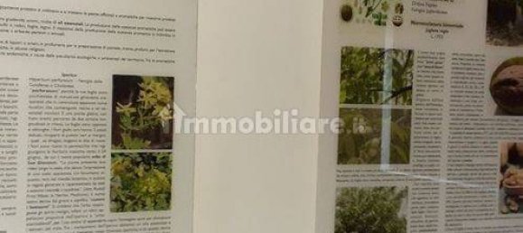 Casa de 2 divisões em Noto, Italy N.º 150076 3