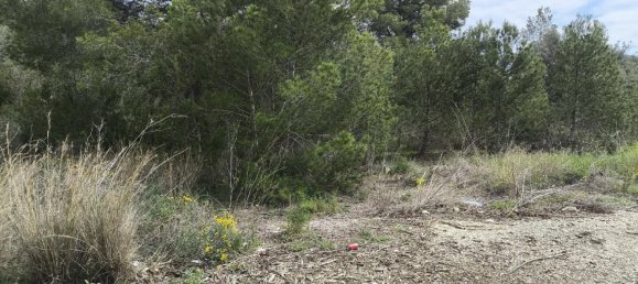 4615m² Land in La Nucia, Spain No. 168935 6