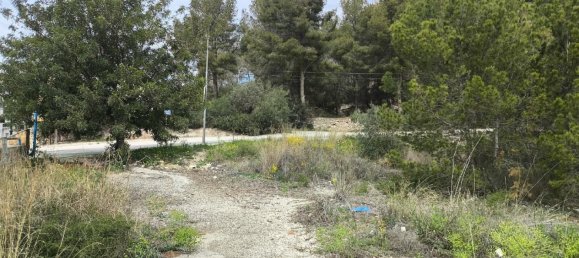 4615m² Land in La Nucia, Spain No. 168935 9