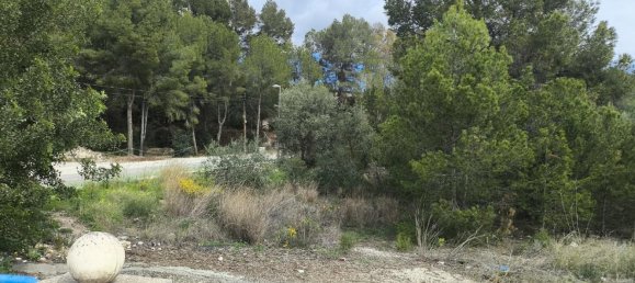 4615m² Land in La Nucia, Spain No. 168935 12