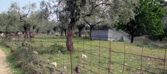 11250m² Hotel in Thasos, Greece No. 7935 2