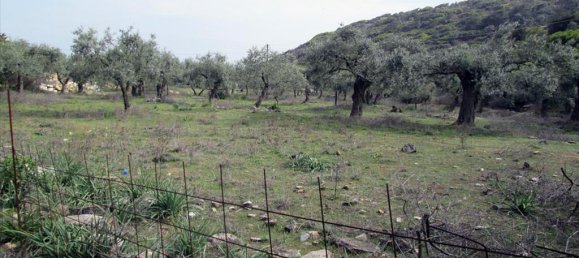 11250m² Hotel in Thasos, Greece No. 7935 4