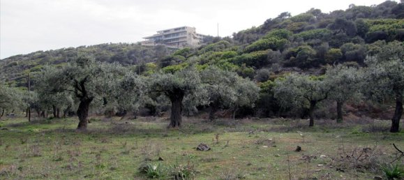 11250m² Hotel in Thasos, Greece No. 7935 5