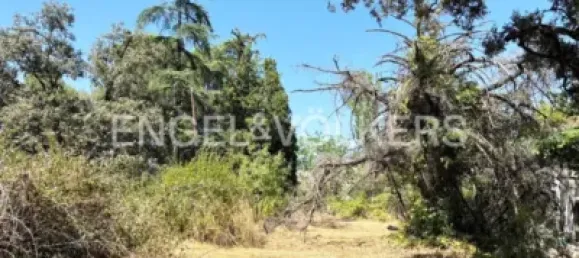  Land in Las Rozas de Madrid, Spain No. 176795 6