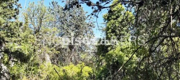  Land in Las Rozas de Madrid, Spain No. 176795 4