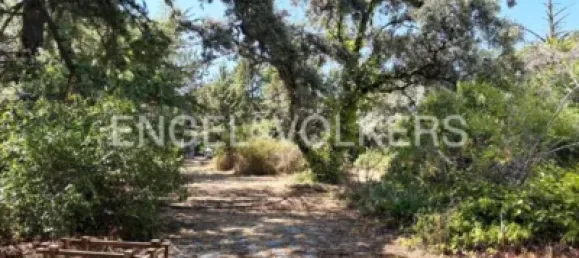  Land in Las Rozas de Madrid, Spain No. 176795 5