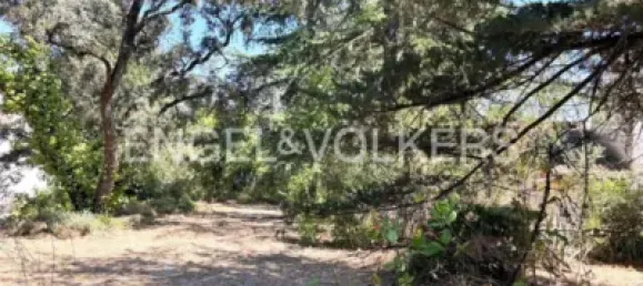  Land in Las Rozas de Madrid, Spain No. 176795 2