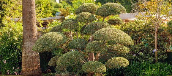 3 Schlafzimmer Villa in Cadiz, Spain, Nr. 143113 40