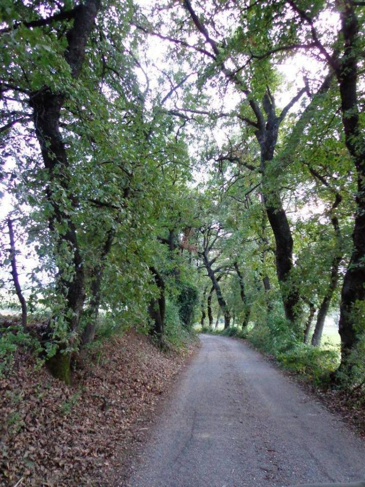 Casa de 7 divisões em Manoppello, Italy N.º 177926