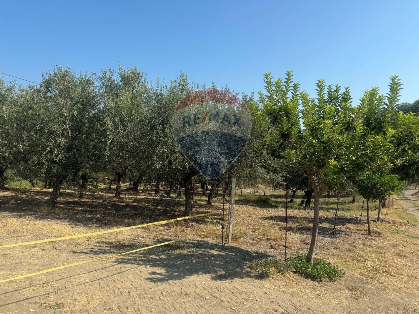 Terreno em Paglieta, Italy 2440 m² N.º 259752