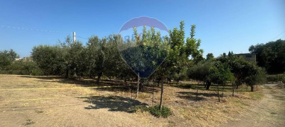 Terreno em Paglieta, Italy 2440 m² N.º 259752 2