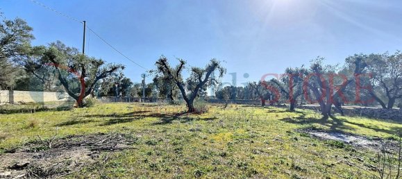 5غرفة منزل في Francavilla Fontana, Italy رقم 40101 5