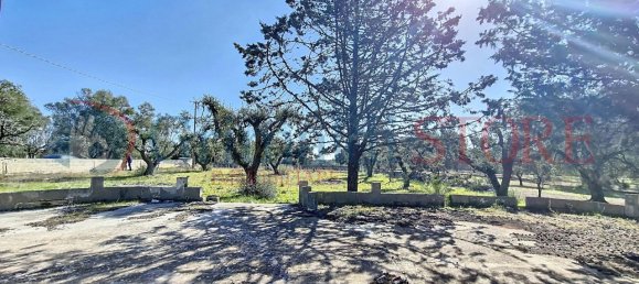 5غرفة منزل في Francavilla Fontana, Italy رقم 40101 9