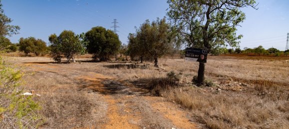 قطعة أرض في Silves, Portugal 8040متر مربع رقم 73704 3