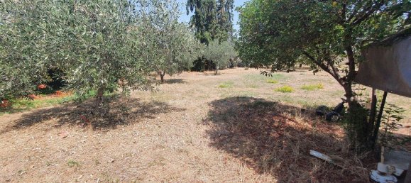 Imóvel comercial T4 em Chalkidiki, Greece N.º 3865 19