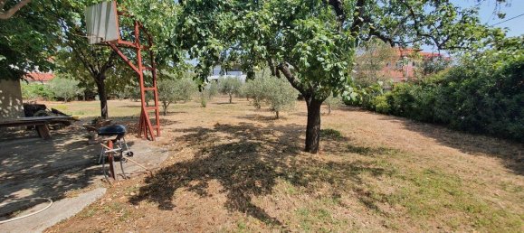 Imóvel comercial T4 em Chalkidiki, Greece N.º 3865 17