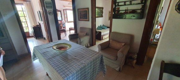 Imóvel comercial T4 em Chalkidiki, Greece N.º 3865 6