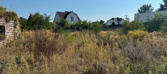 Grundstück in Brandenburg, Germany, Nr. 53939 2