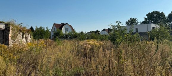 Grundstück in Brandenburg, Germany, Nr. 53939 3