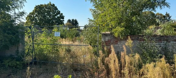 Grundstück in Brandenburg, Germany, Nr. 53939 14