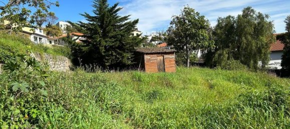 Terreno em Funchal, Portugal N.º 146069 14