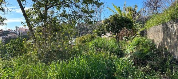Terreno em Funchal, Portugal N.º 146069 21