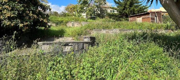 Terreno em Funchal, Portugal N.º 146069 13