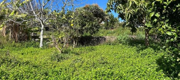 Terreno em Funchal, Portugal N.º 146069 17