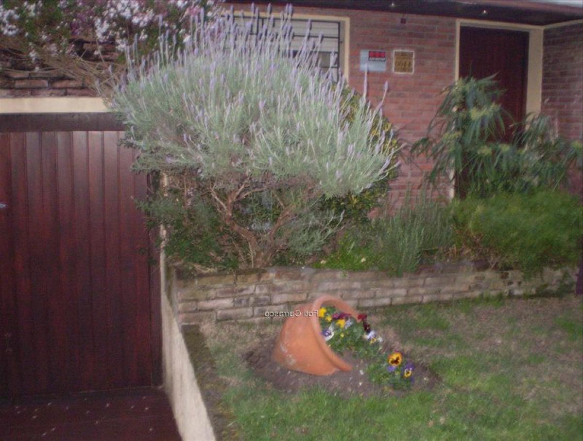 Casa T4 em Montevideo, Uruguay N.º 7235