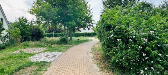 3 bedrooms House in Mahlsdorf, Germany No. 31986 15