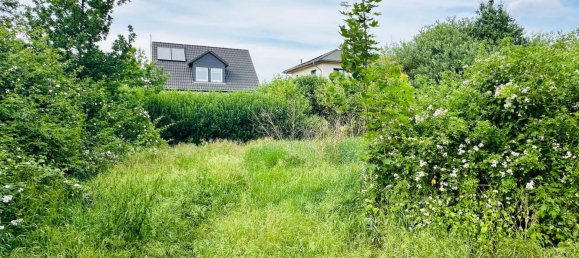 3 bedrooms House in Mahlsdorf, Germany No. 31986 16