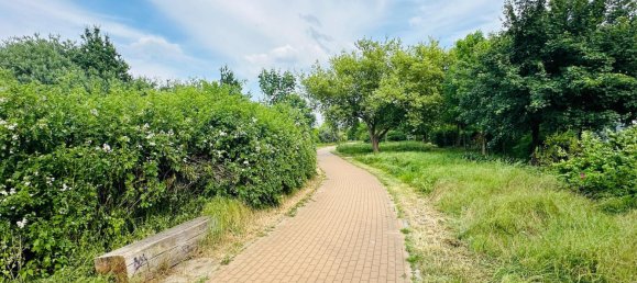 3 bedrooms House in Mahlsdorf, Germany No. 31986 14