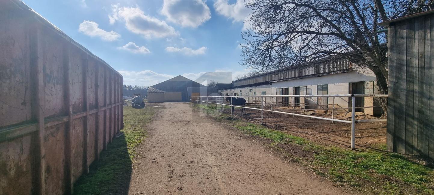 Propiedad comercial en Markgrafneusiedl, Austria No. 250980