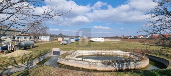 Propiedad comercial en Markgrafneusiedl, Austria No. 250980 3