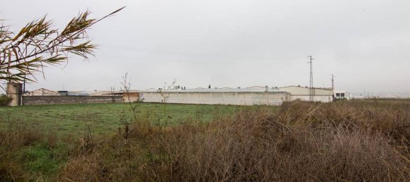 4000m² Warehouse in Pulianas, Spain No. 177543 44
