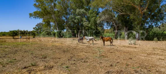 2 bedrooms House in Cadiz, Spain No. 177739 10