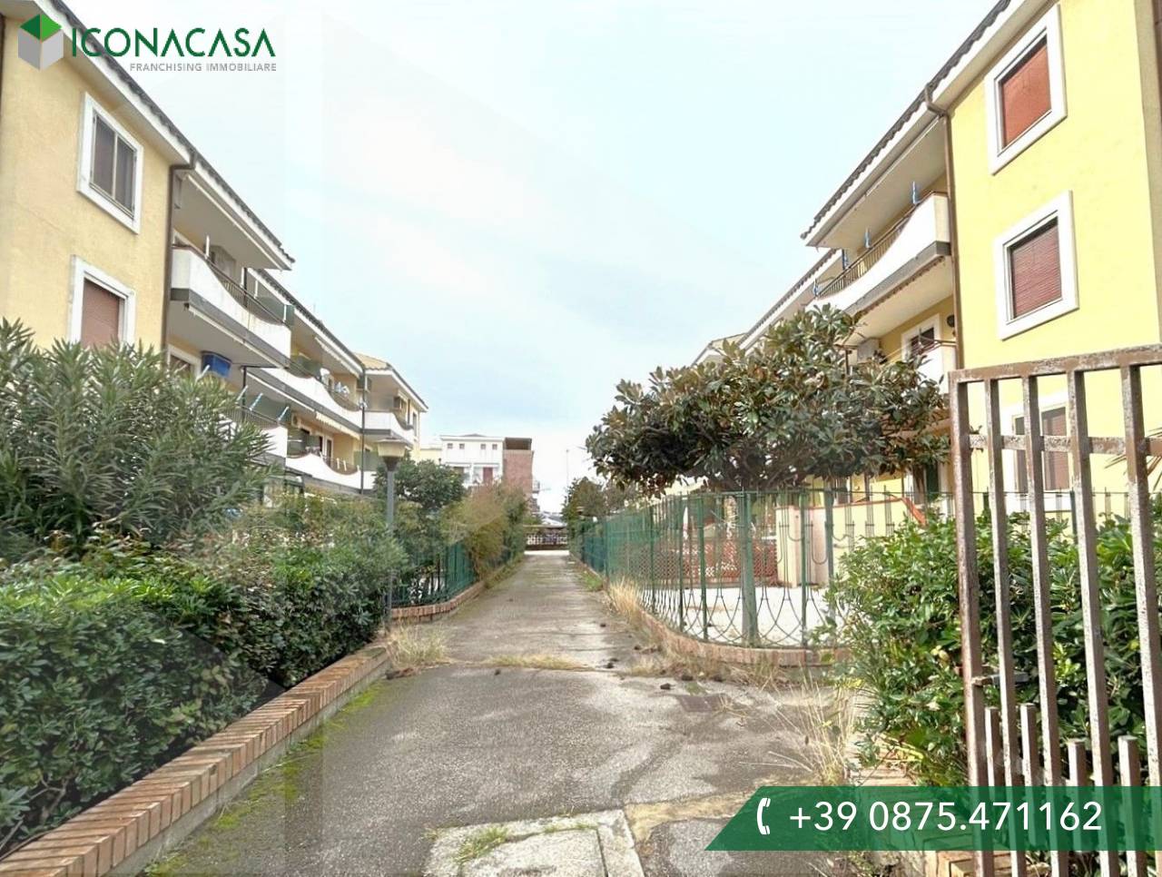 2 rooms Apartment in Campomarino, Italy No. 24909