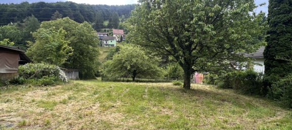Land in Gosting, Austria No. 131296 4
