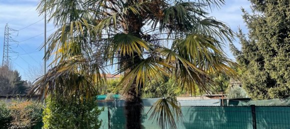 3 rooms Apartment in Bovisio Masciago, Italy No. 152096 10