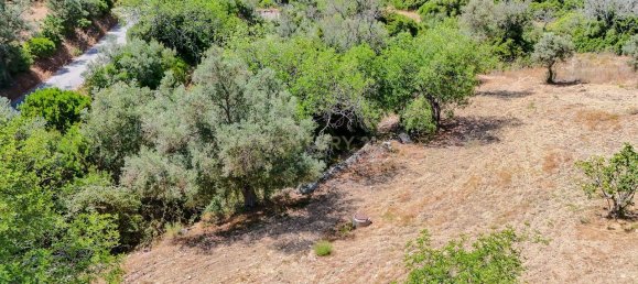 Grundstück in Loule, Portugal 3680m², Nr. 288556 10