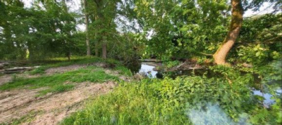 Земельный участок в Липпе, Германия № 363934 5