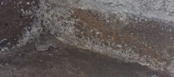 9-Zimmer Haus in Cavriago, Italy, Nr. 85380 42