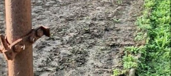 5 rooms Apartment in Monsummano Terme, Italy No. 72706 7