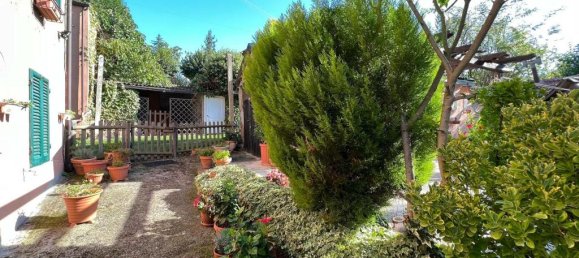 2 Schlafzimmer Haus in Castiglione del Lago, Italy, Nr. 56891 5