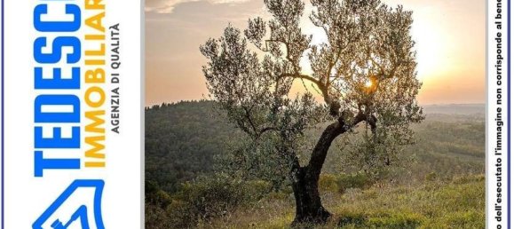 14120m² Land in Paduli, Italy No. 300833 4