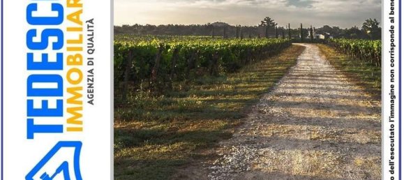 14120m² Land in Paduli, Italy No. 300833 2