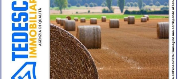 14120m² Land in Paduli, Italy No. 300833 5