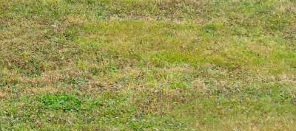  Land in Richebourg, France No. 114006 2