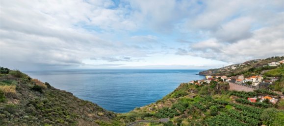 4 bedrooms Villa in Ribeira Brava, Portugal No. 135232 17